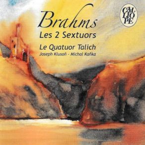 Brahms: Les 2 Sextuors album cover