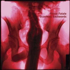 Scanning Backwards album cover