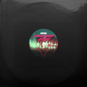Paralysed Affair album cover