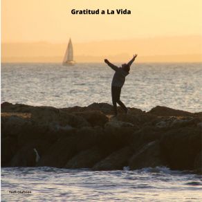 Gratitud A La Vida album cover