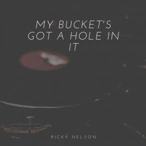 My Bucket's Got A Hole In It album cover