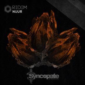 Ridim (Original Mix) album cover