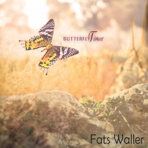 Butterfly Times album cover