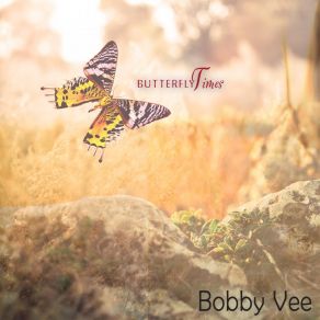 Butterfly Times album cover