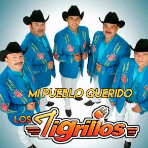 Mi Pueblo Querido album cover