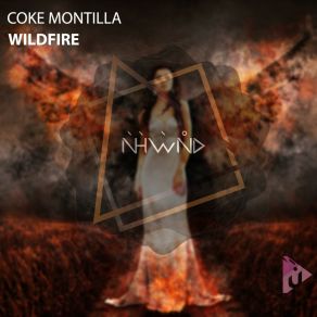 Wildfire album cover