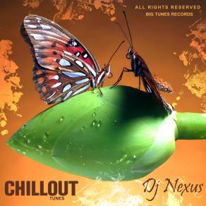 Chillout Tunes album cover