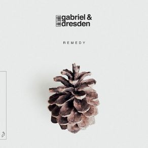Remedy (Extended Versions) album cover
