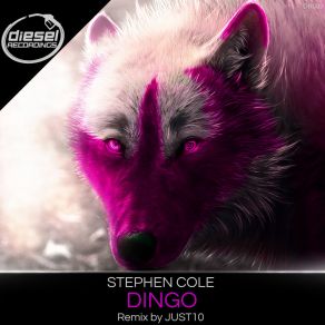 Dingo album cover