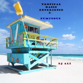 Tropical Oasis Experience 2: Numinous album cover