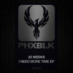 I Need More Time album cover