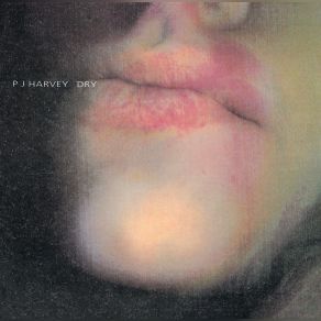 Dry album cover