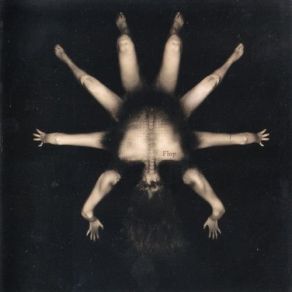 Torso (Single) album cover