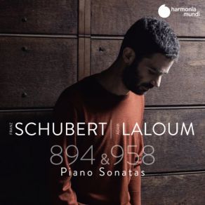 Schubert: Sonatas D. 894 & D. 958 album cover