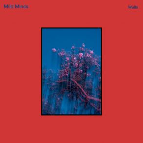 WALLS album cover