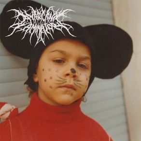 Laminator album cover