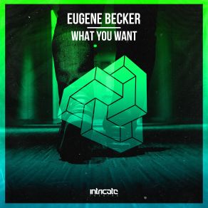 What You Want (Maxi-Single) album cover