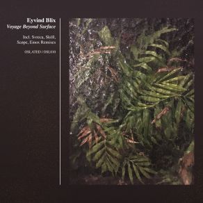 Voyage Beyond Surface album cover