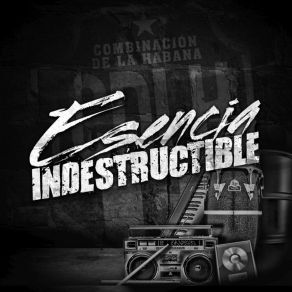 Esencia Indestructible album cover