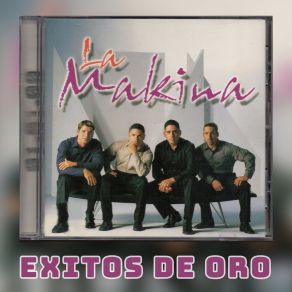 Exitos De Oro album cover