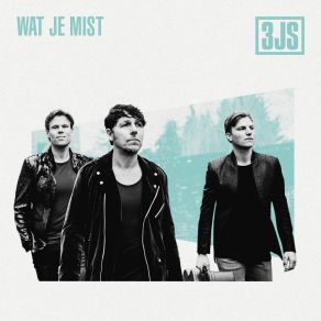 Wat Je Mist album cover
