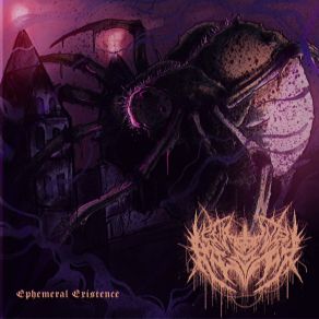 Ephemeral Existence album cover