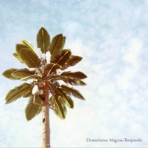 Temporada album cover
