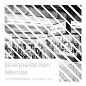 Bosque De San Marcos album cover