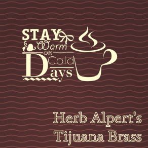Stay Warm On Cold Days album cover