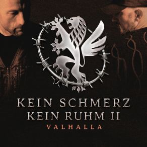 Kein Schmerz - Kein Ruhm 2 album cover
