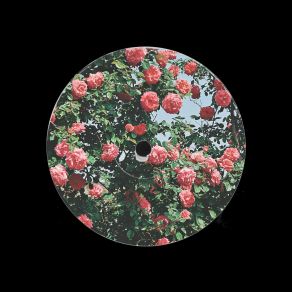 Floral album cover