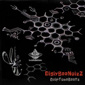 Digiy Bee NoizZ album cover