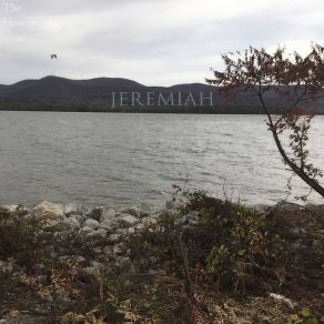 Jeremiah (Single) album cover
