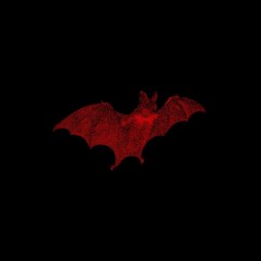Hungry For Sunlight / Birth Of The Vampire (Maxi-Single) album cover