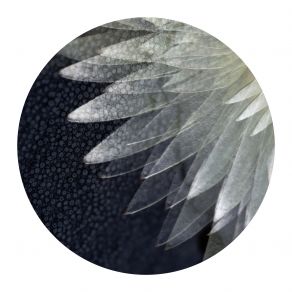Ambient Re: Works 01 album cover