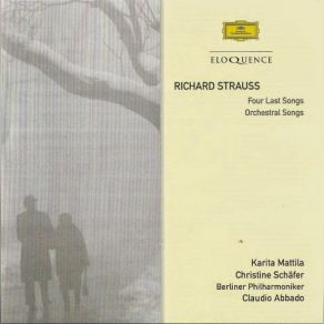R. Strauss: Orchestral Songs album cover
