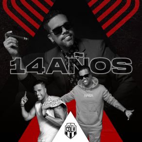 14 Años (En Vivo) album cover