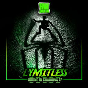 Hiding In Shadows album cover