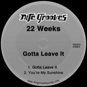 Gotta Leave It album cover