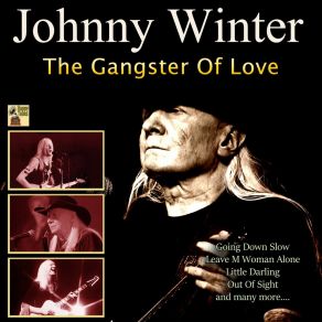The Gangster Of Love album cover