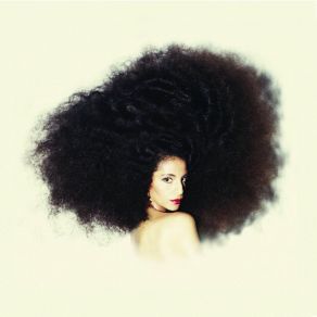 Asile Exquis album cover