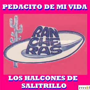 Pedacito De Mi Vida album cover