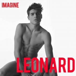Imagine album cover