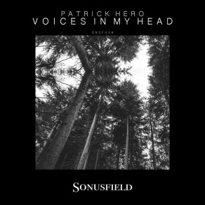 Voices In My Head album cover