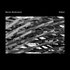 Dubbiz album cover