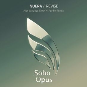 Revise (Alex Wrights Slow N Funky Remix) (Single) album cover