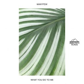 What You Do To Me (Single) album cover