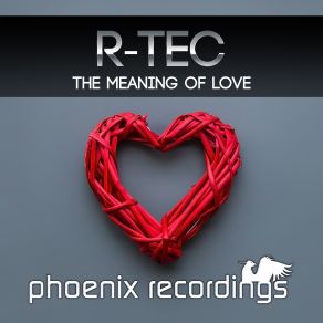 The Meaning Of Love (Maxi-Single) album cover