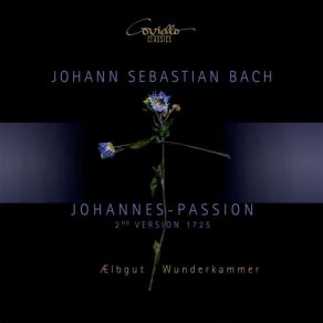 Johann Sebastian Bach - Johannes-Passion (2nd Version. 1725) album cover