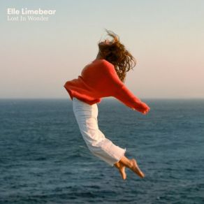 Lost In Wonder album cover